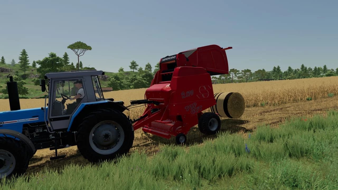SUPERTINO R170 TOPCUT 3