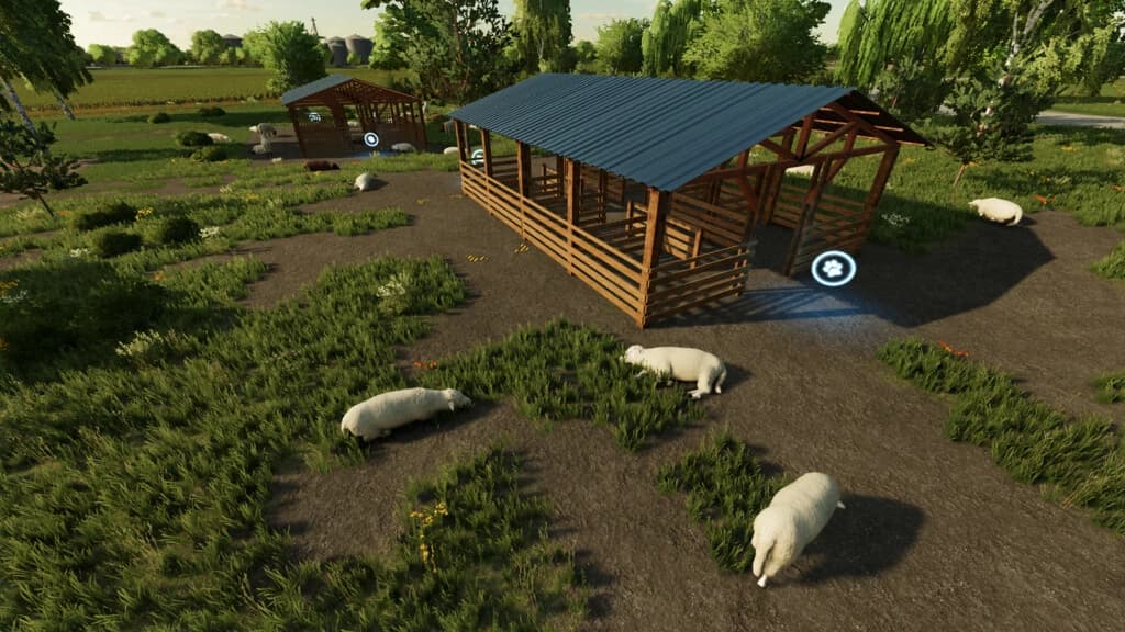 Sheep Shed 3