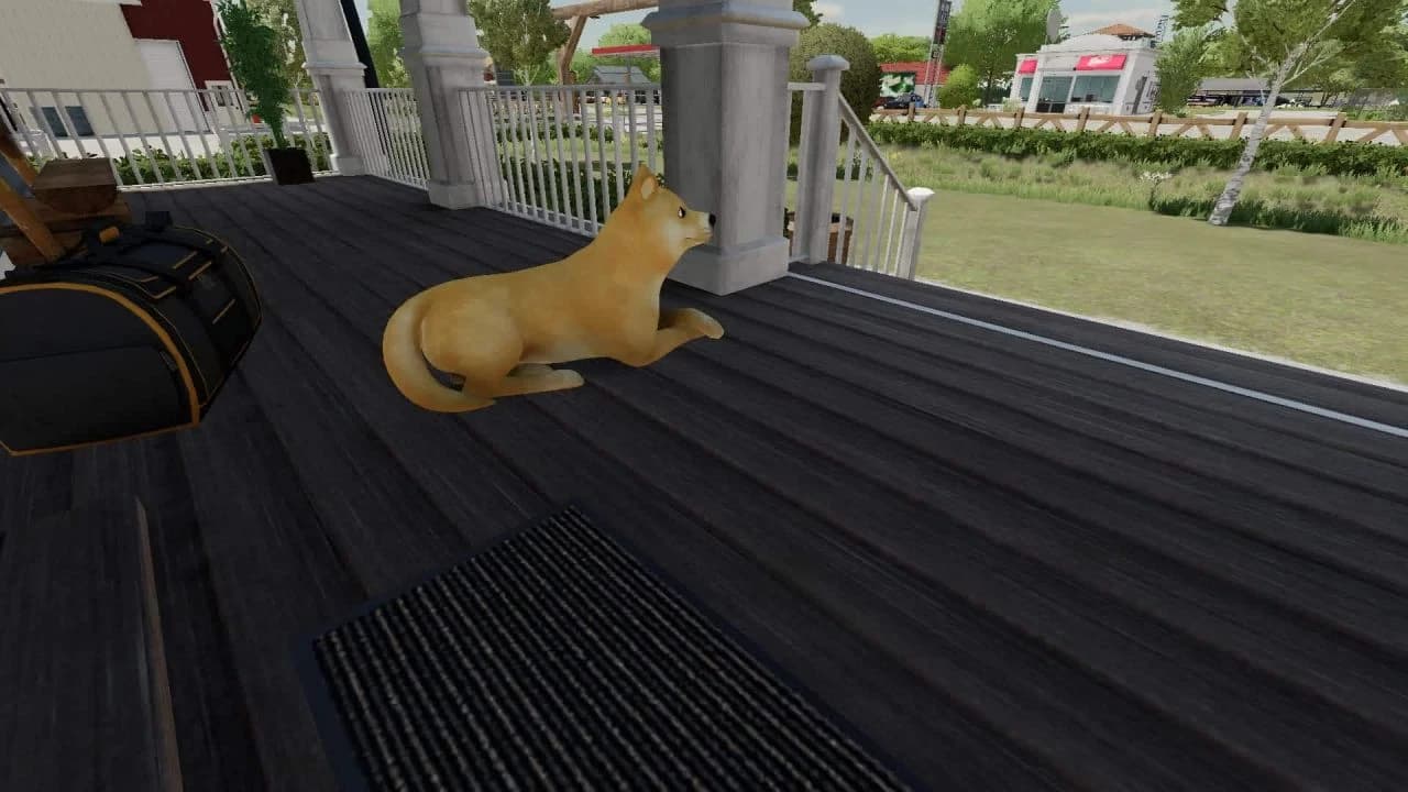 Shiba Inu Doge Coin dog 3