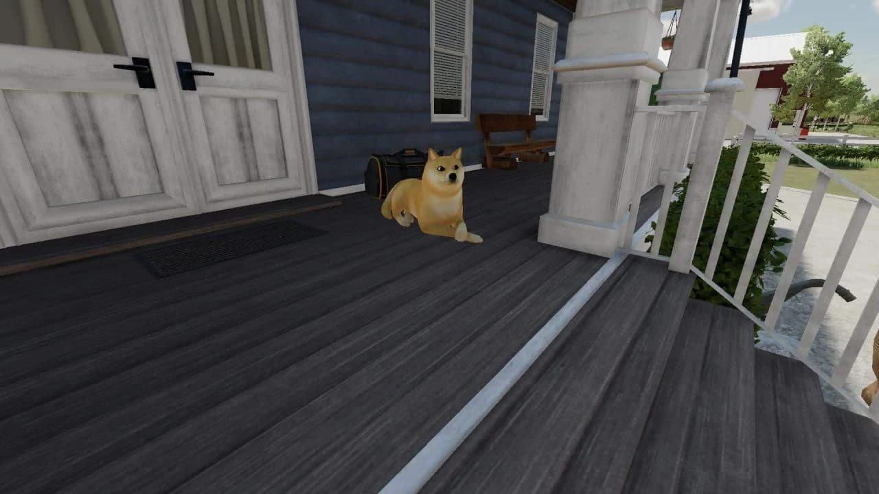 Shiba Inu Doge Coin dog 2