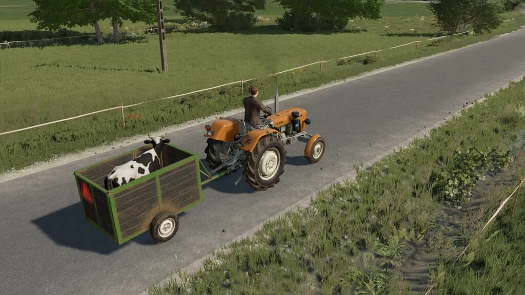 Small Animal Trailer 3