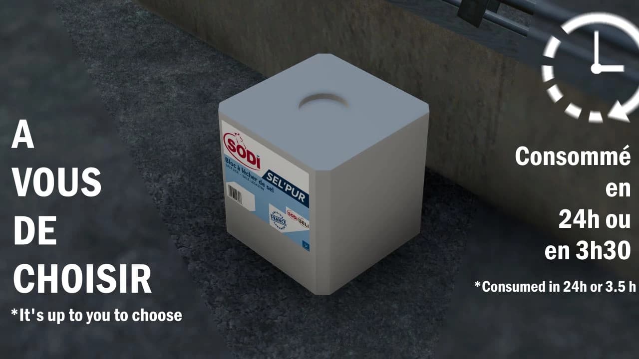 Sodi Pure Salt For Cattle 4