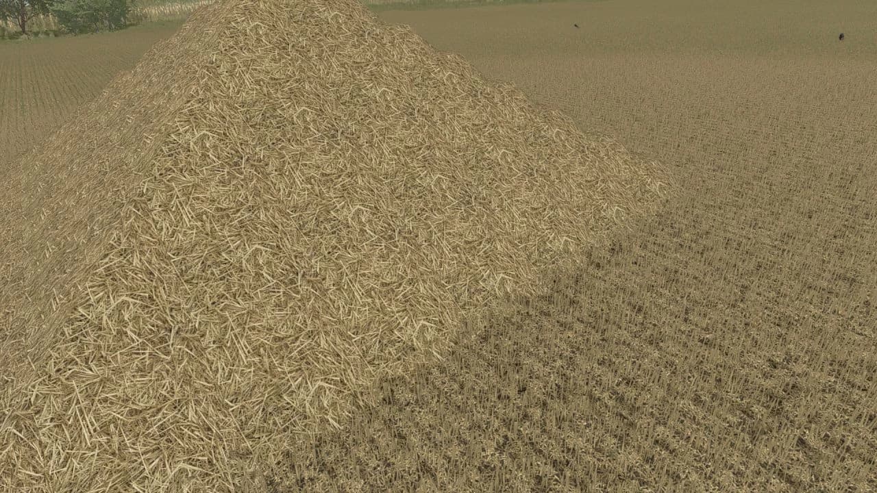 Straw Texture 2