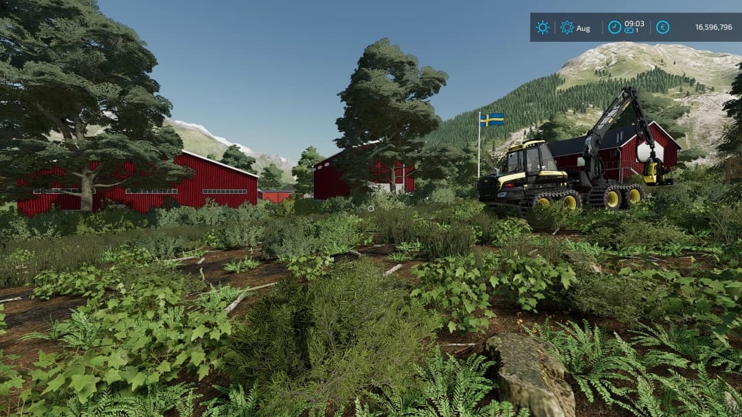 Swedish small forest farm 4