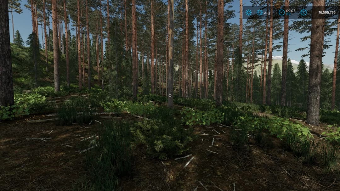 Swedish small forest farm 3