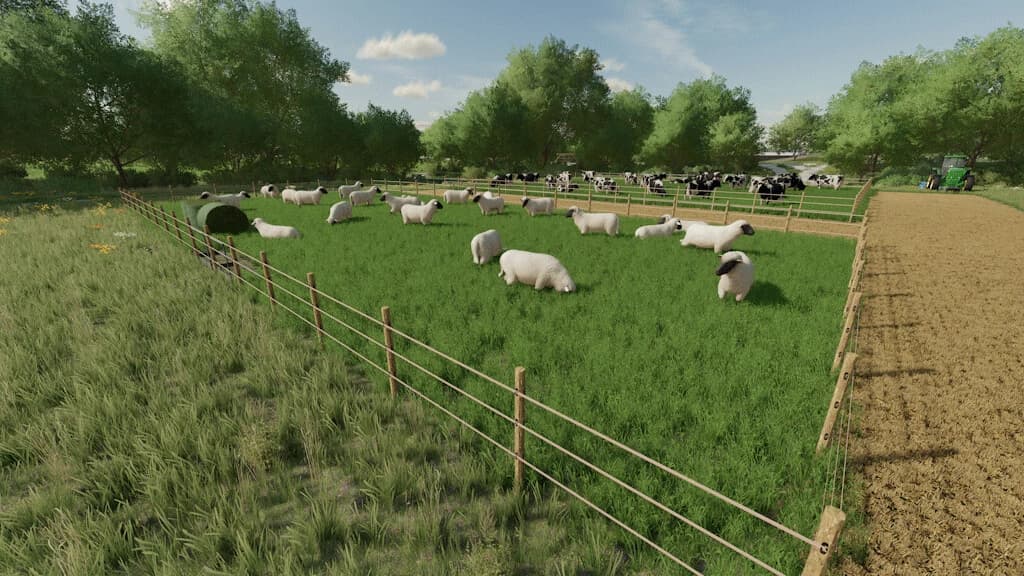 TEMPORARY GRAZING PASTURES 3