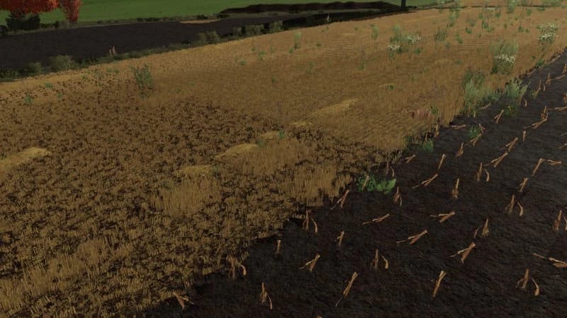 TEXTURE OF MANURE ON STUBBLE 2