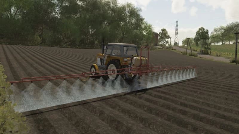 TEXTURE OF PLANTED POTATOES 4