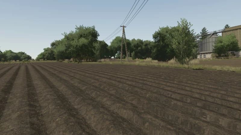 TEXTURE OF PLANTED POTATOES 3
