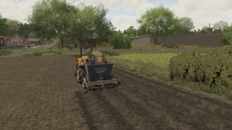TEXTURE OF PLANTED POTATOES 2