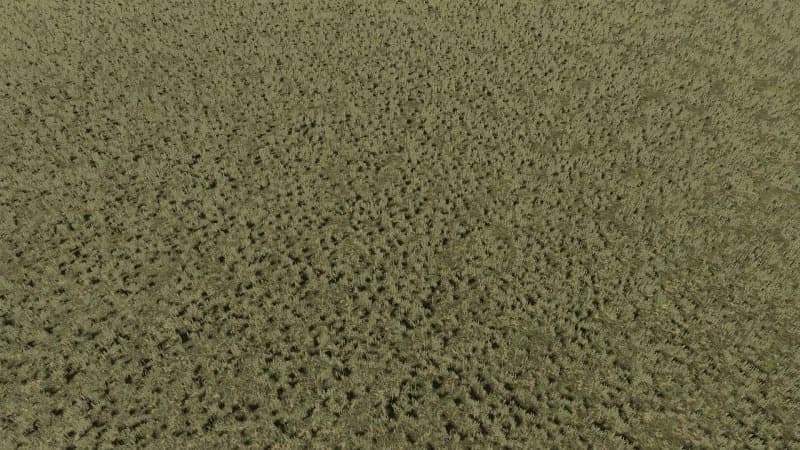 TEXTURE PACK 2