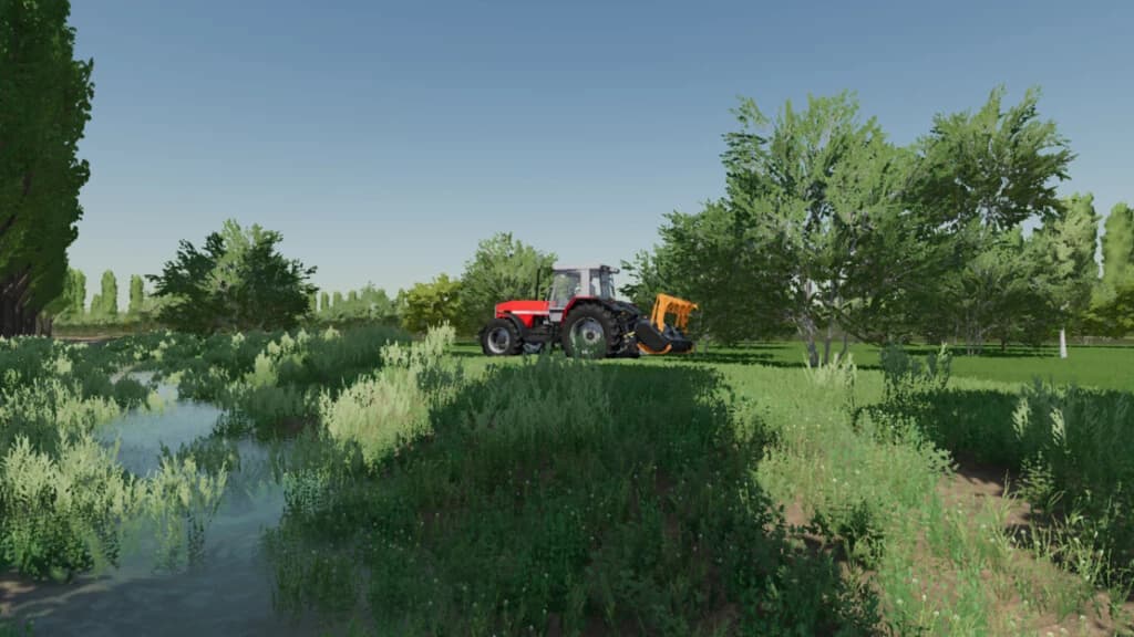THE ABANDONED MARSHES 5