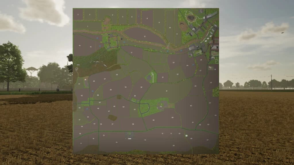 THE ABANDONED MARSHES