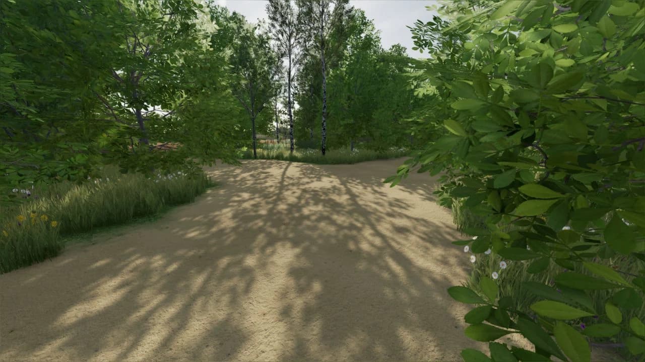 THE BORDER 5