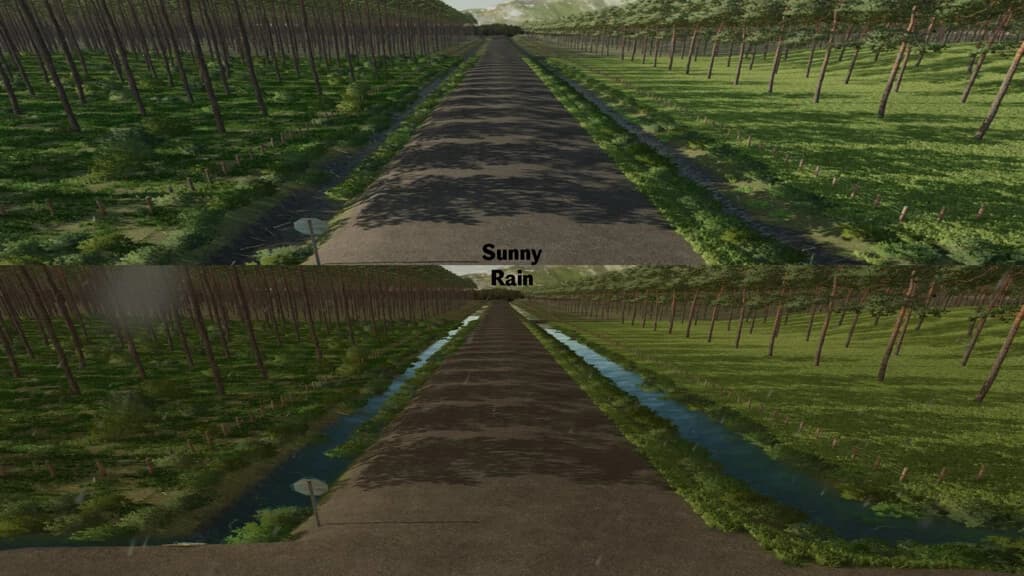 THE PLANTATION 4