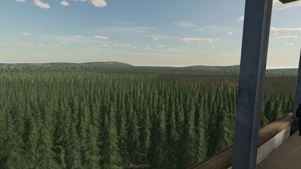 THE RAINY WOODS 3