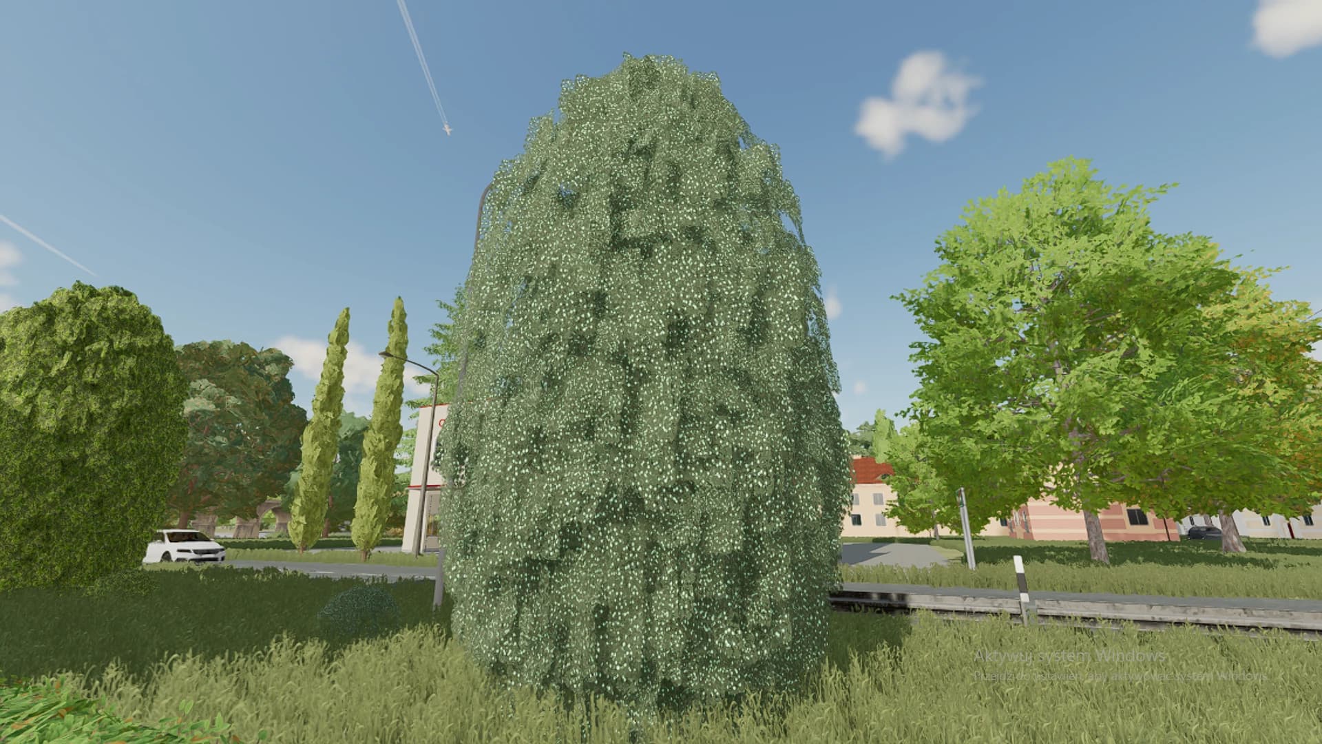 THUJA