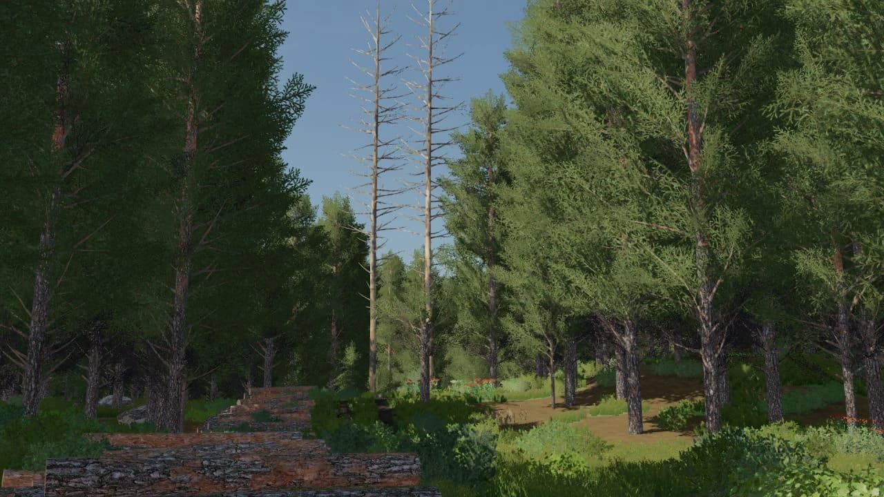 TOTEN MAP 2