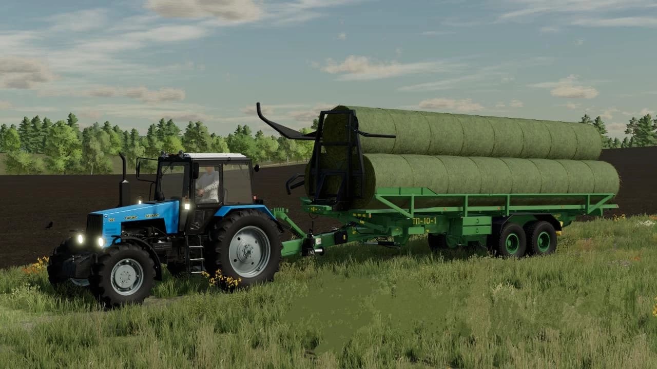 TP-10-1 2