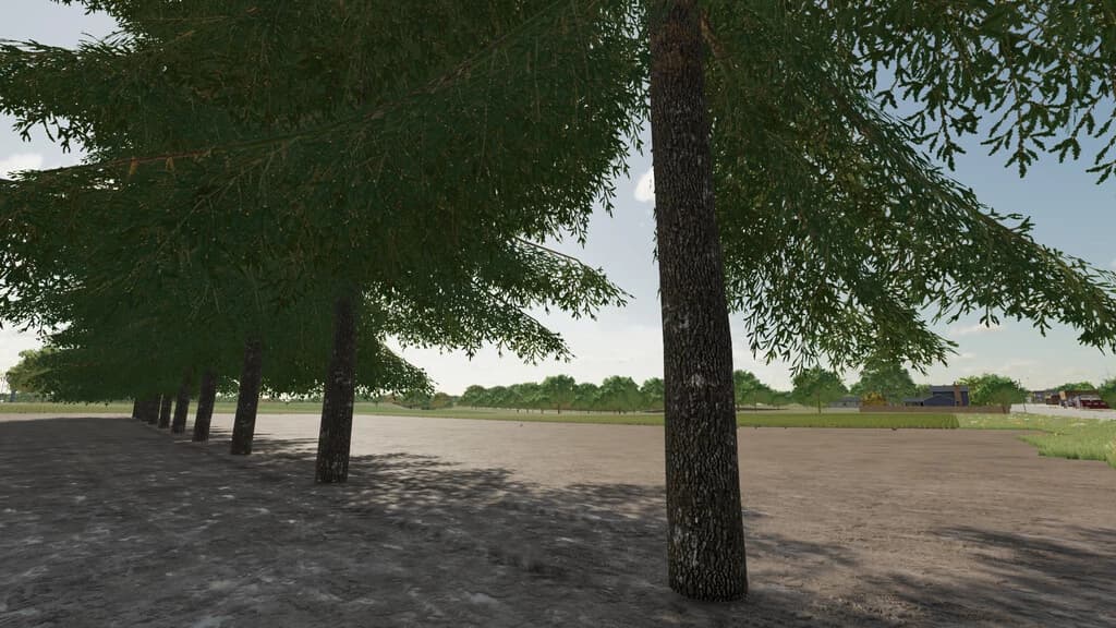 TREE GROWTH MANAGER 3