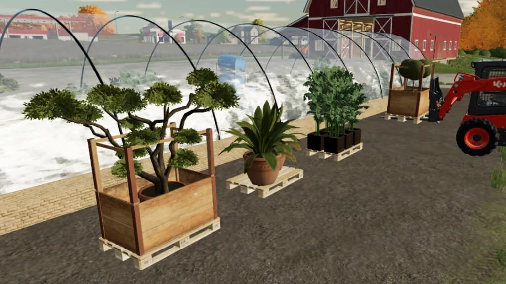 TREE NURSERY 5