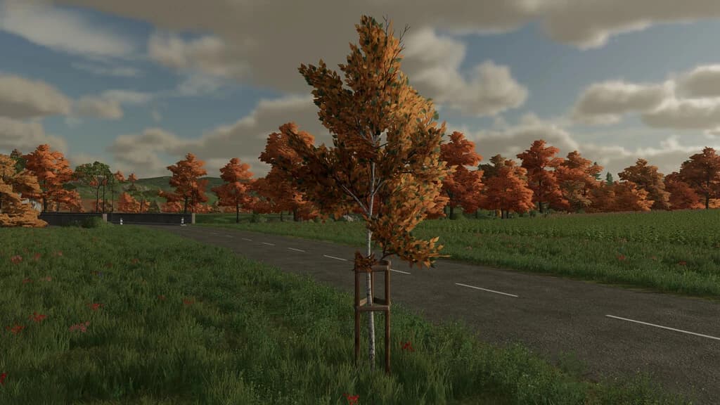 TREE SUPPORT 3
