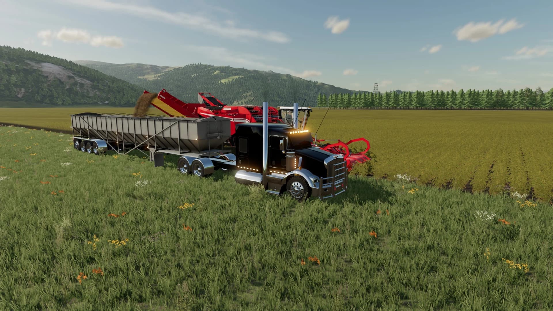 TRINITY 53 BELT TRAILER 3