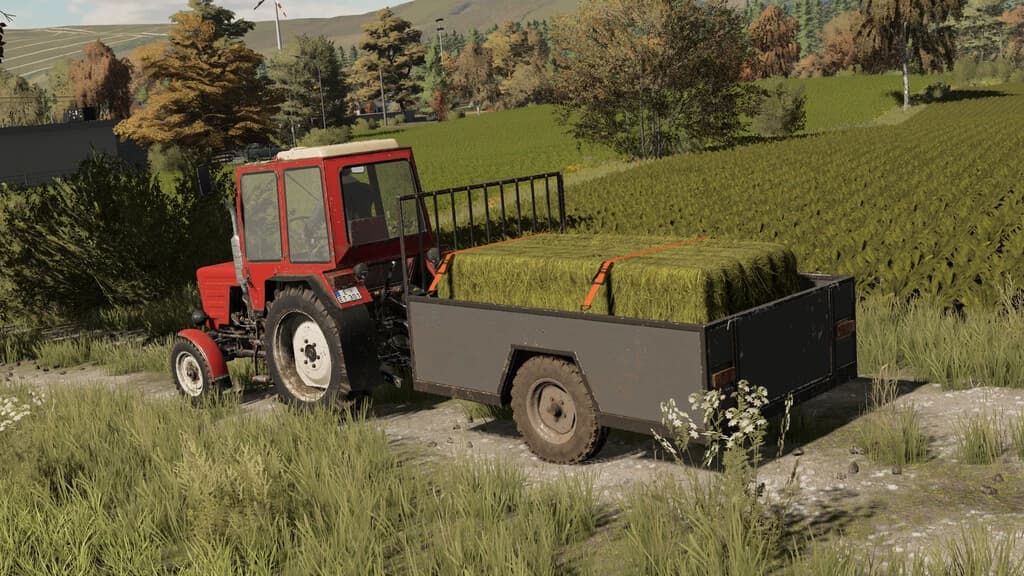 TWO WHEEL TRAILER 4