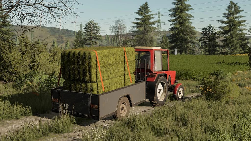 TWO WHEEL TRAILER