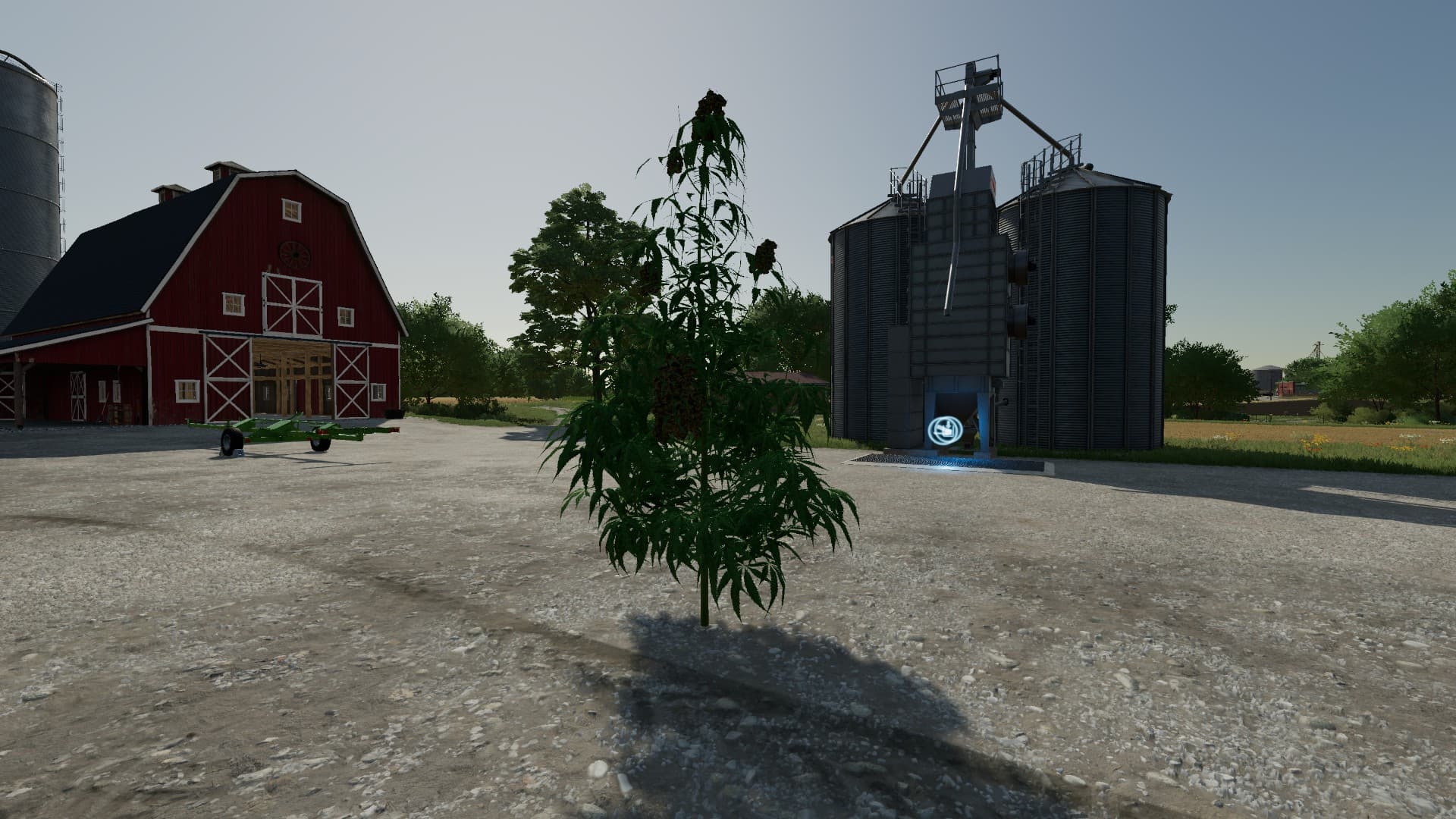 The Mother Plant 4