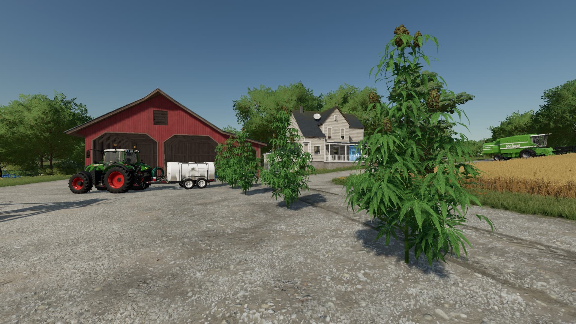 The Mother Plant 3