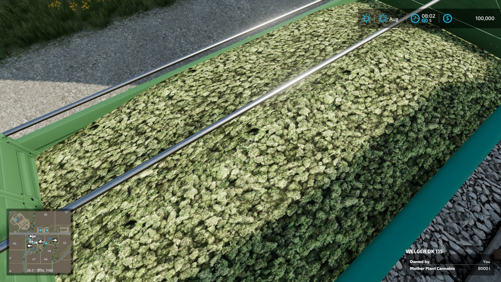 The Mother Plant 2