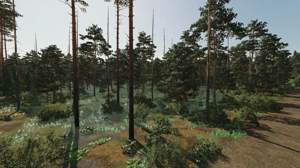 The Mythical Woods 5