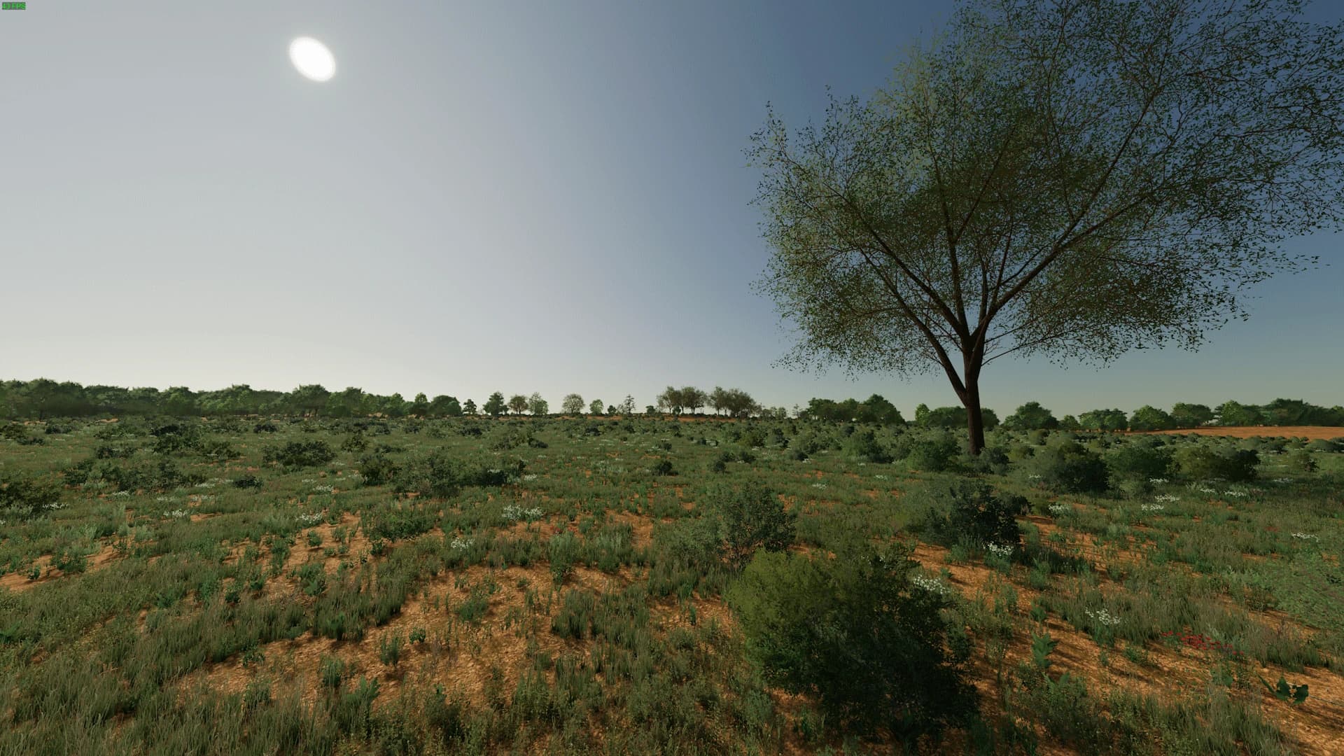 The Outback 4