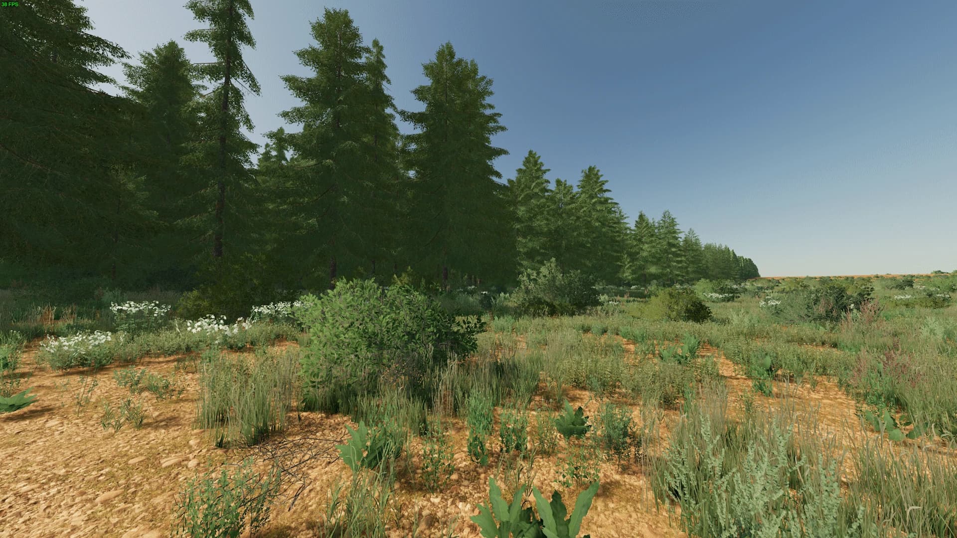 The Outback 2