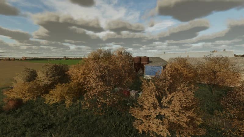 Tree Textures 4