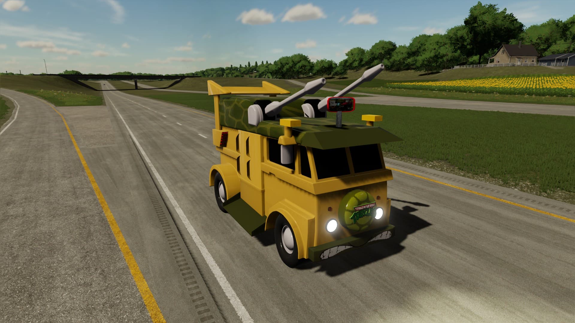 Turtle Van 5