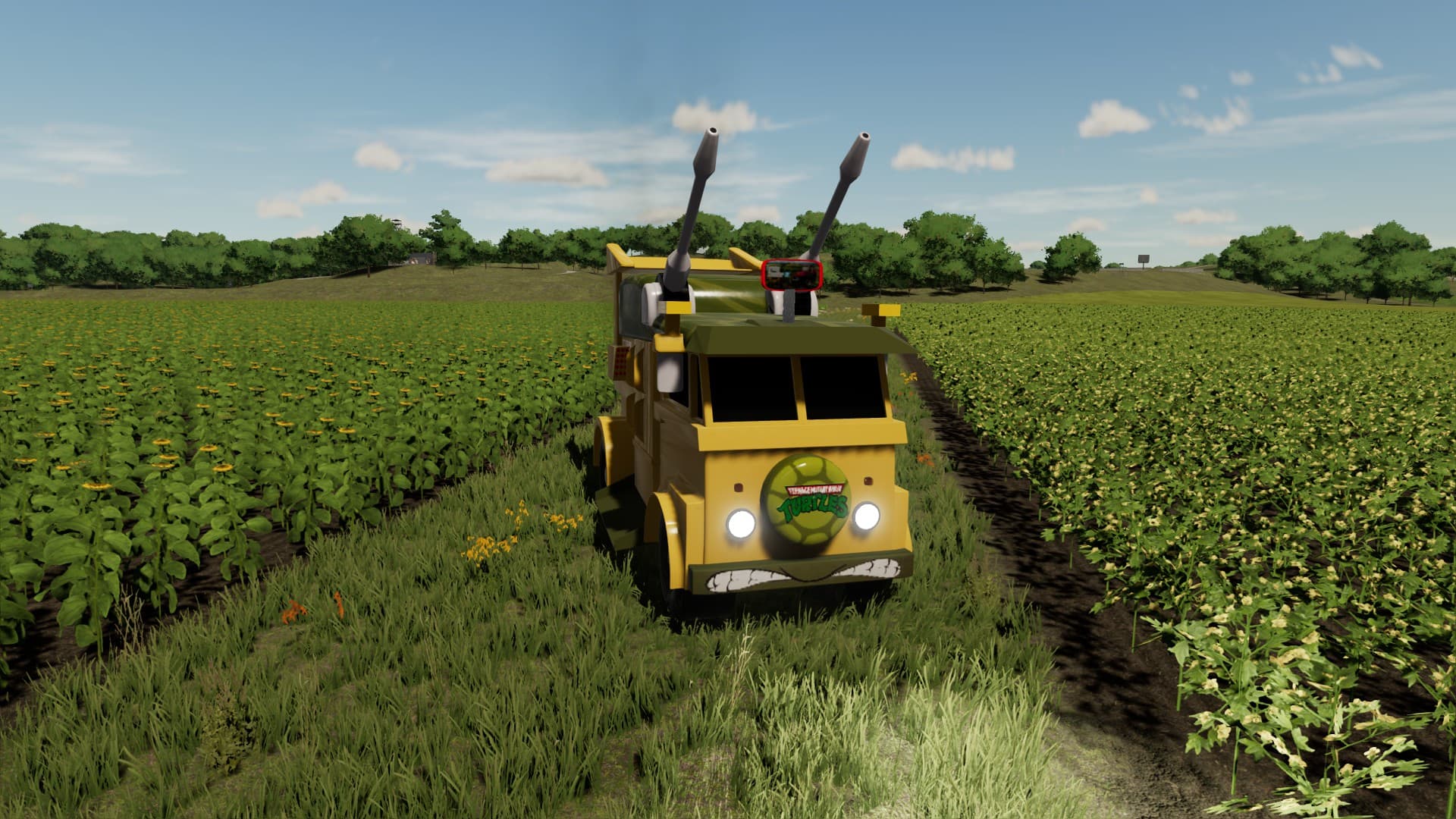 Turtle Van