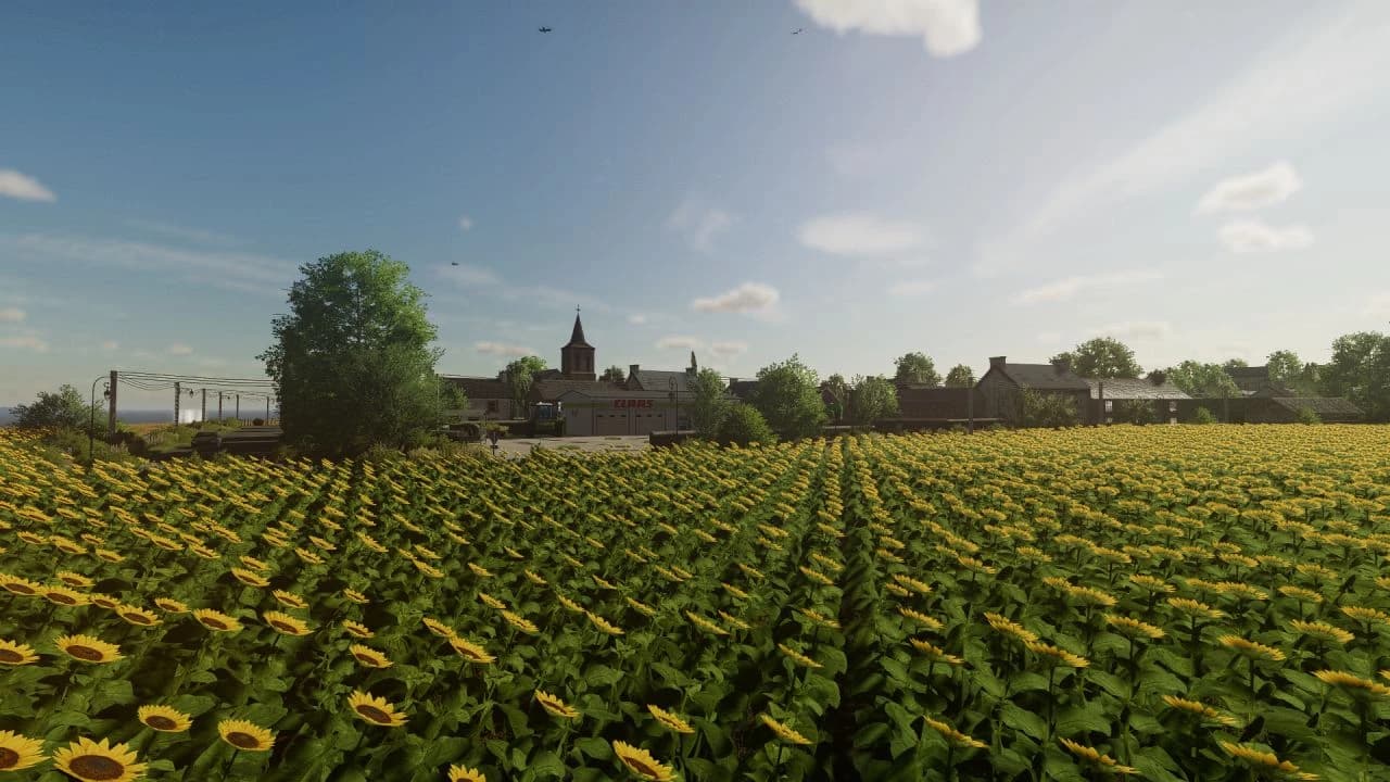 UN COIN DE SOMME 2