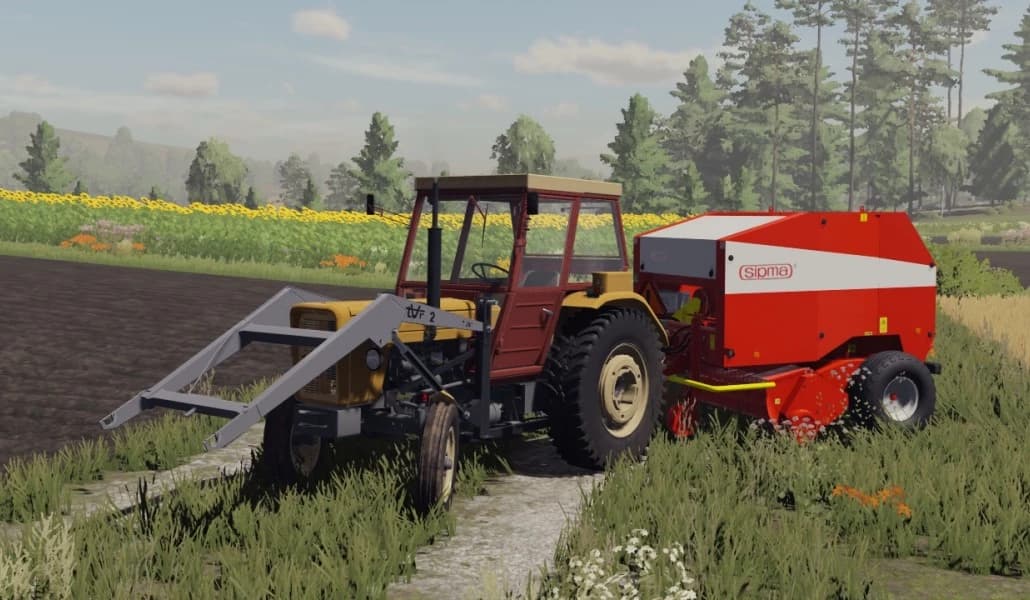 URSUS MEDIUM SERIES PACK 5