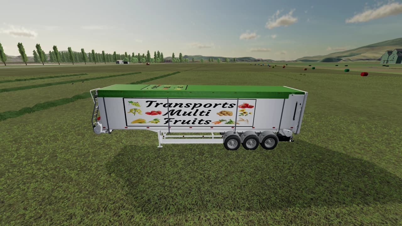VAN TRAILER GRAIN 2 5