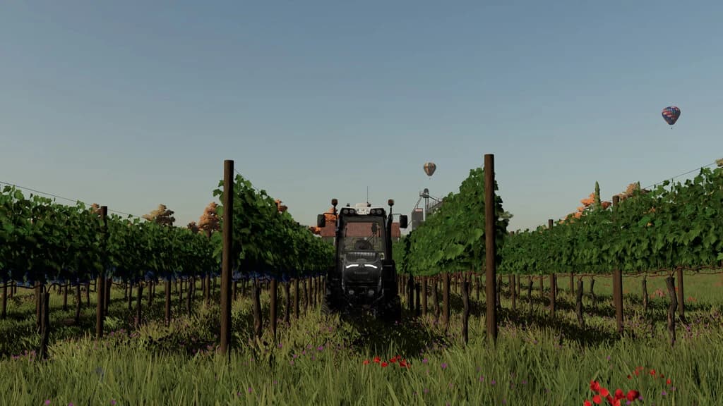 VARIABLE VINE WIDTHS 3