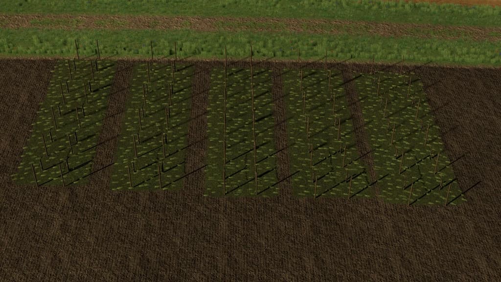 VARIABLE VINE WIDTHS