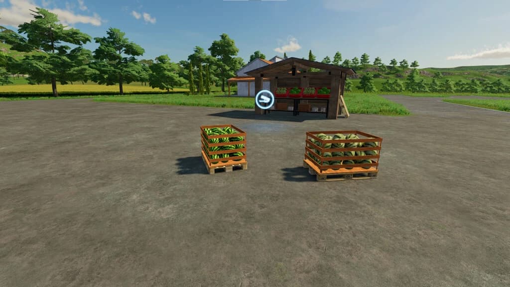 VEGETABLE GREENHOUSES MELONS, WATERMELONS 5