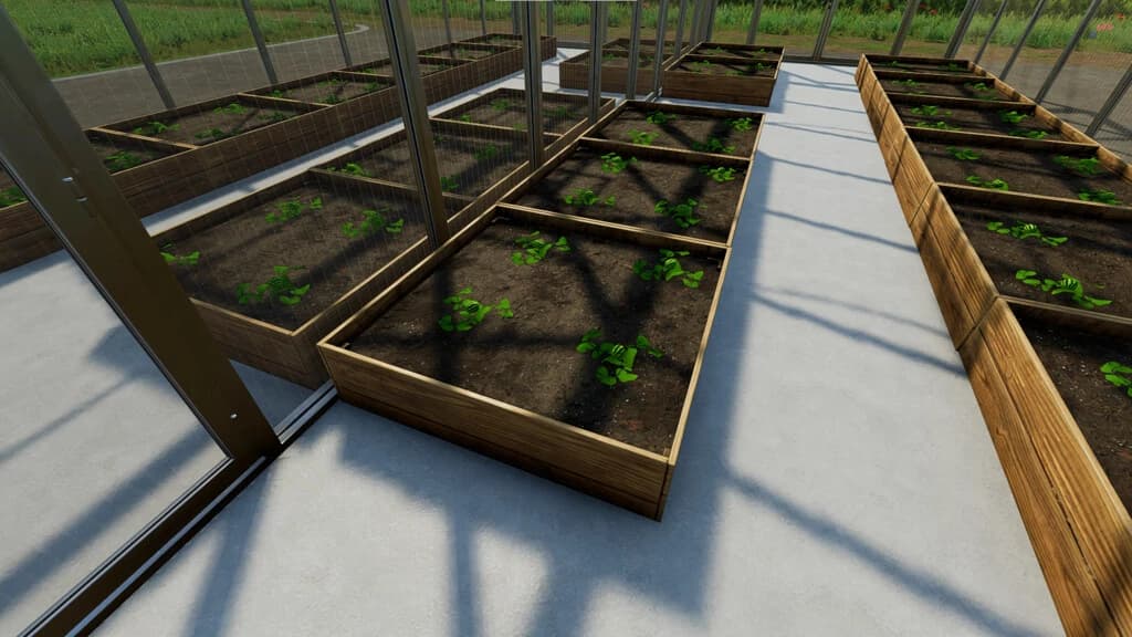 VEGETABLE GREENHOUSES MELONS, WATERMELONS 4