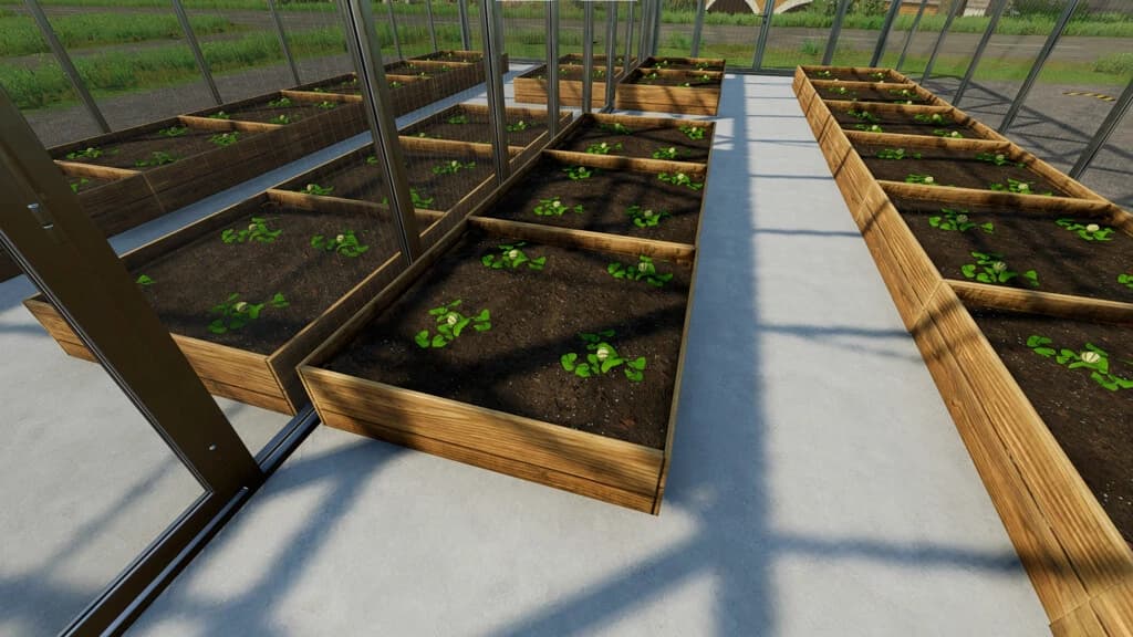 VEGETABLE GREENHOUSES MELONS, WATERMELONS