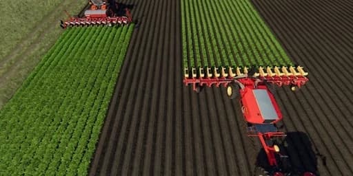 VEGETABLE PLANTER 4