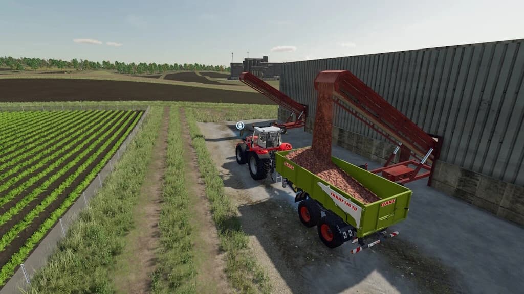 VEGETABLE WAREHOUSE PACK 3