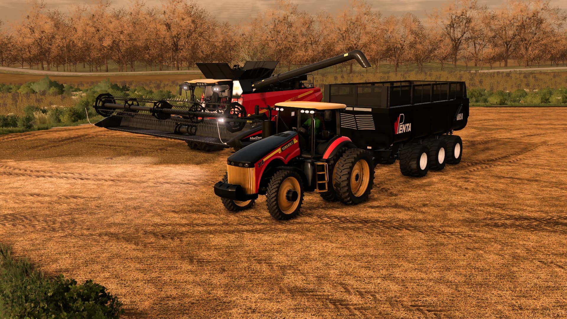VERSATILE 310 2