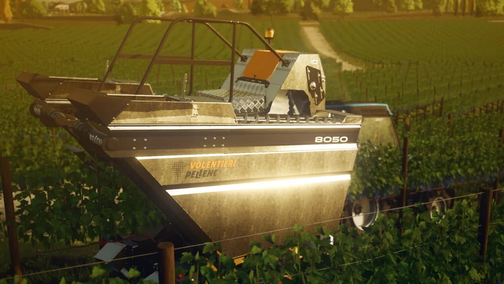 VINEYARD PACK 4